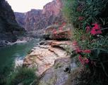 Scenic picture of canyon and river